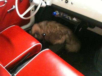 Chester in de Fiat