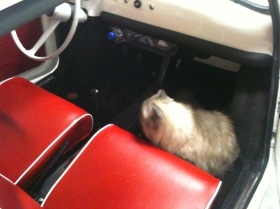 Chester in de Fiat