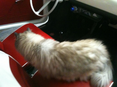 Chester in de Fiat
