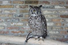 04-05-2013 - Rondje Tholen