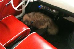 Chester in de Fiat